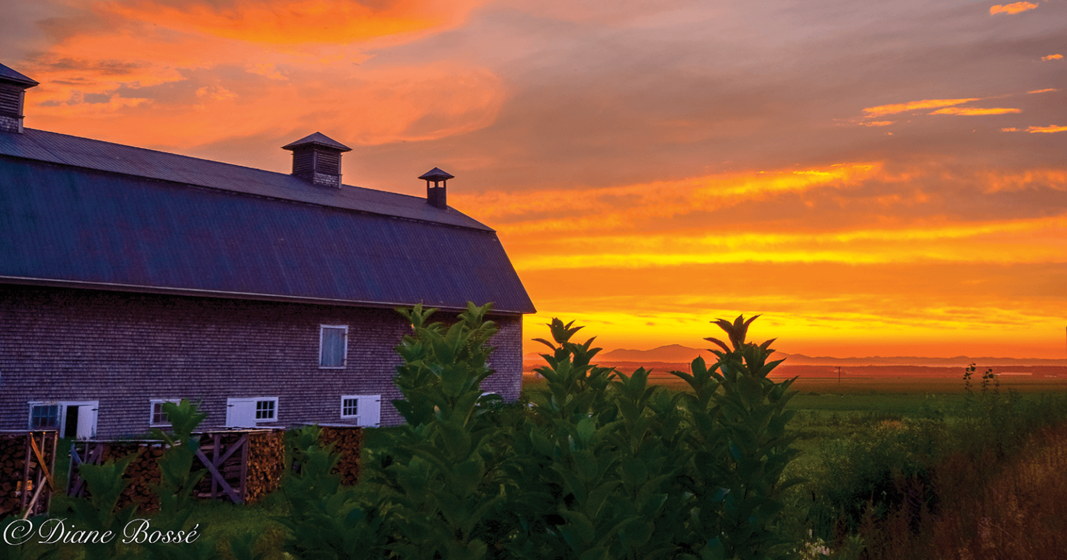 SaintPhilippedeNéri Tourisme Kamouraska