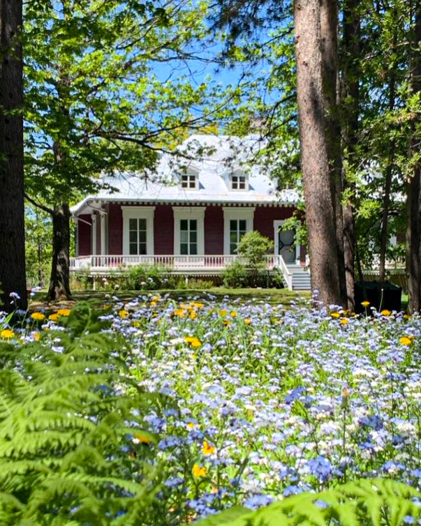 Seigneurie des aulnaies - 02