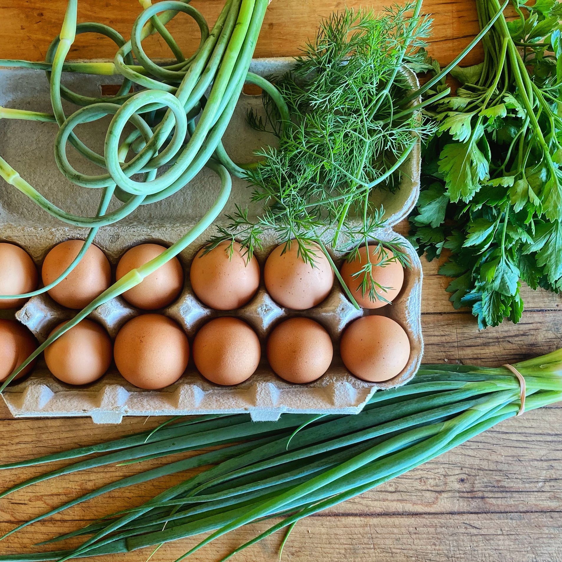 Roch le Fermier - 09